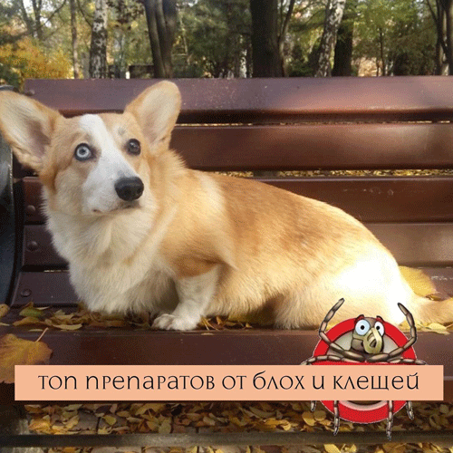 ��� ��� ������� �� ���� � ������