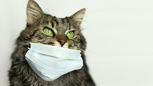 �������� � ����������� ������