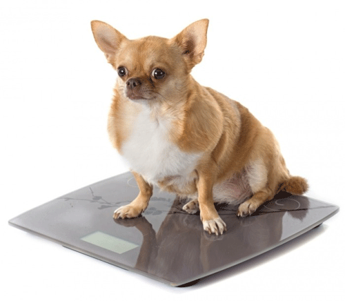 ����� ������ ����� ������� � ������ ������� ����?