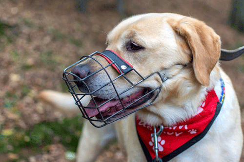 ��� ��������� ��������� ������?