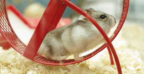 ��� ��������� ������� ������ ��� ������