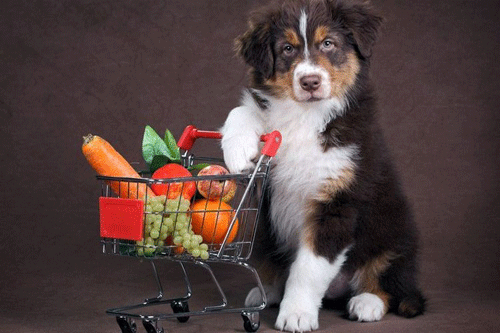 ����� �� ������ ������ ������ � �����?