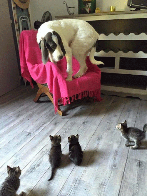 ������ � ����� � �����