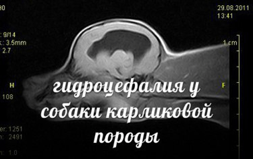 ������������ � �����
