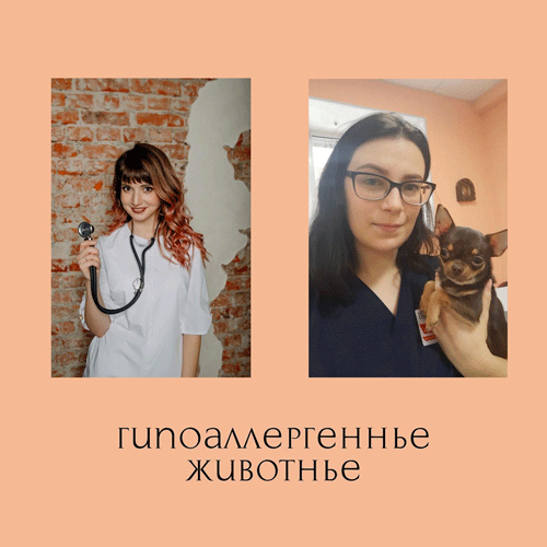 ��������������� ��������. ���������� �� ���? ⠀