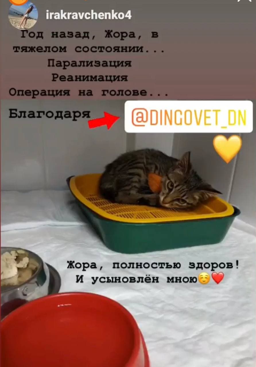 ��� ���������� ������