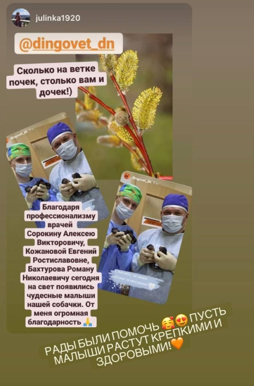 ������ � ������ ����������